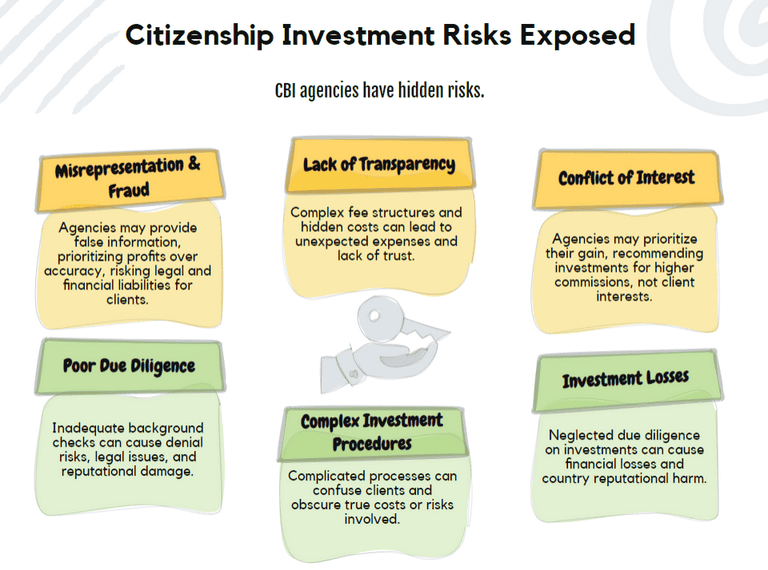 What Risks Are Associated With Using a Citizenship by Investment Agency?